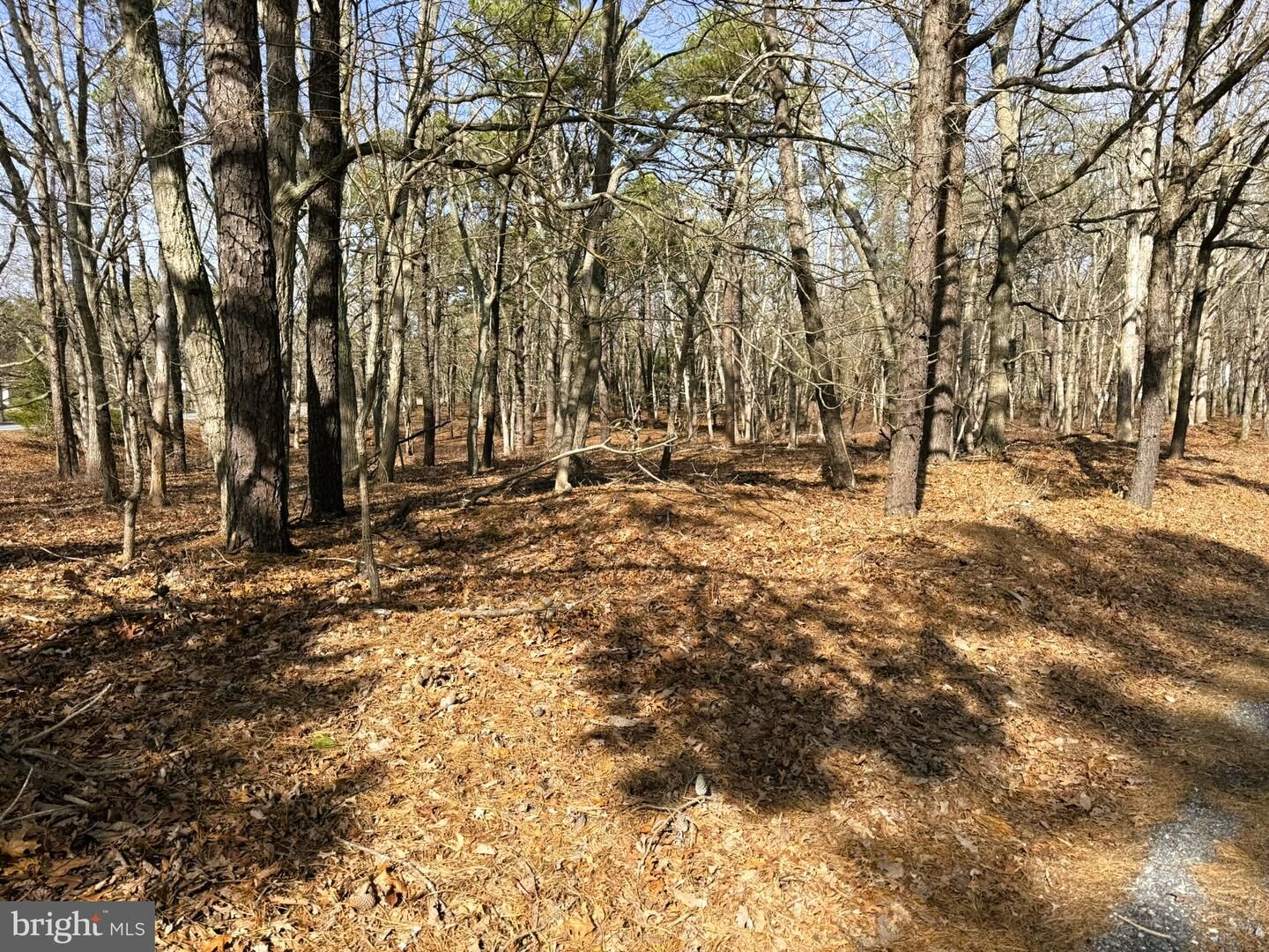 Property Photo:  3 Pinewood Drive  NJ 08087 