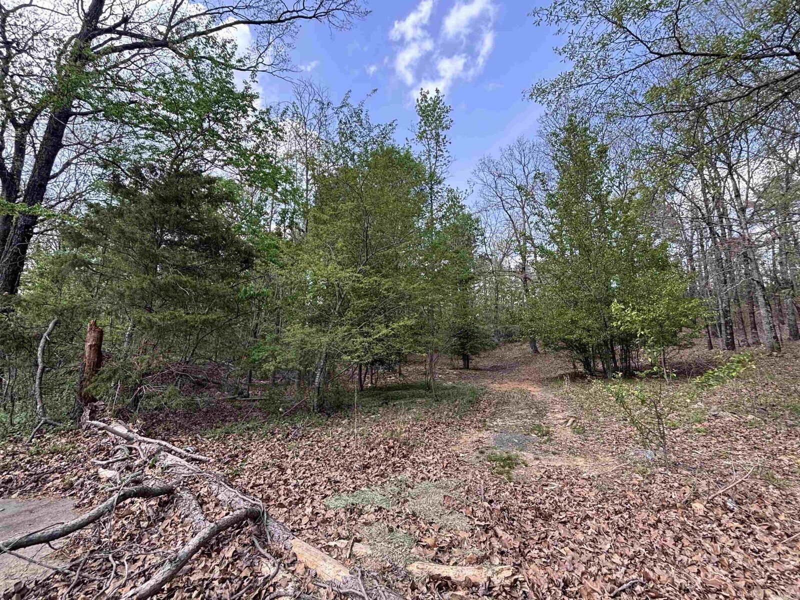 Property Photo:  00 Deer Creek Cove  AR 72120 