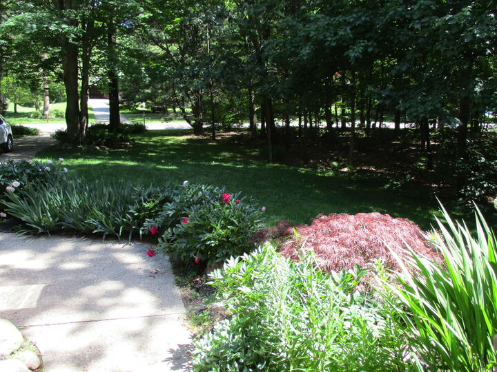 Property Photo: 6417 Ototeman Trail MI 49453