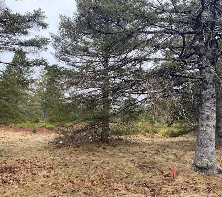 Property Photo: Lot 5 Copeland Hill Road ME 04429