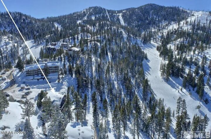 Property Photo:  769 N Bowl Lane  NV 89449 