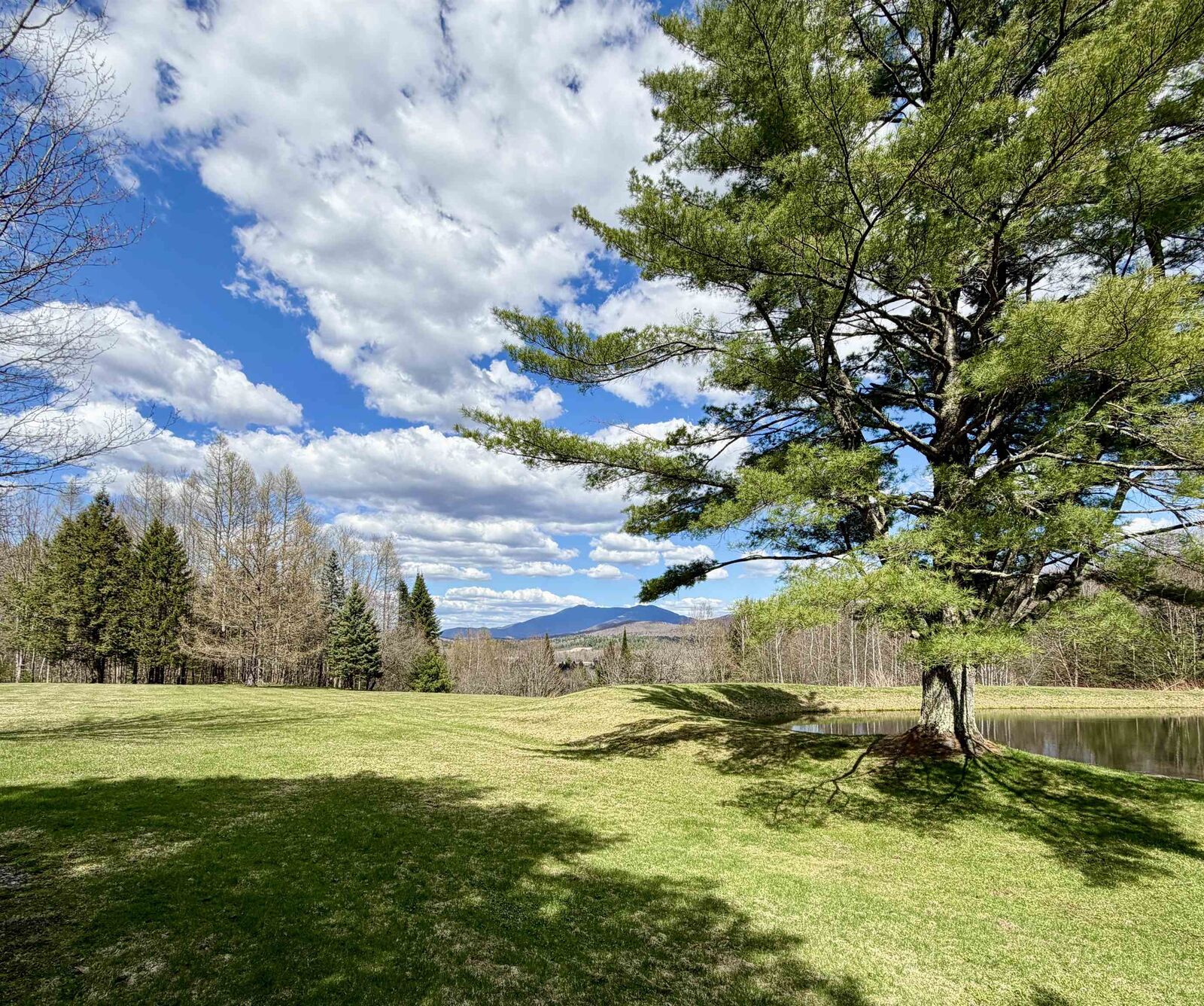 Property Photo:  65 Bentley Lane  VT 05465 