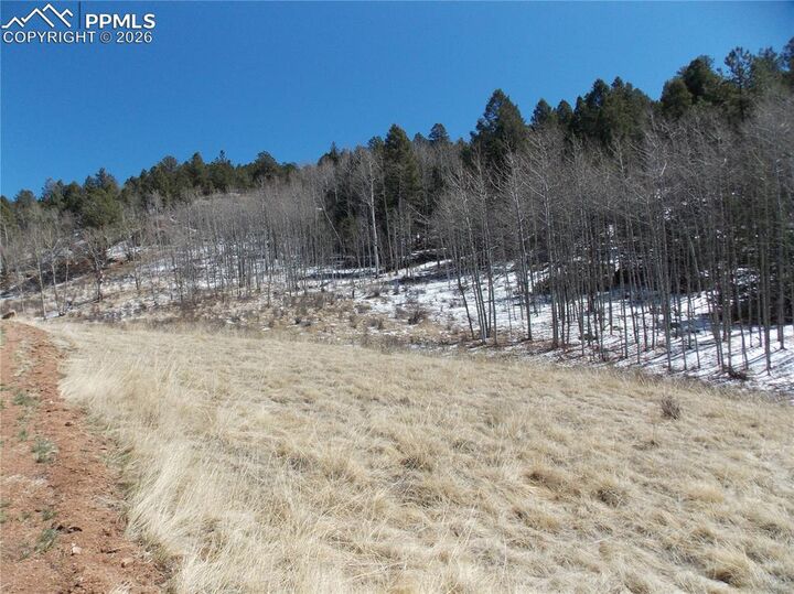 Property Photo:  388 Grey Eagle Drive  CO 80813 
