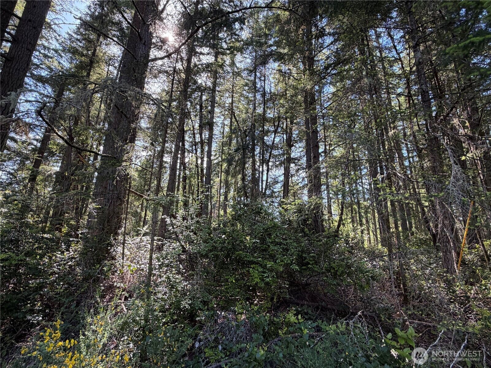 Property Photo: 10506 Tahoma Drive WA 98303
