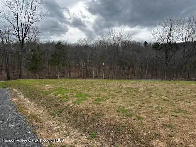 Property Photo: 2809 Old Kings NY 12414