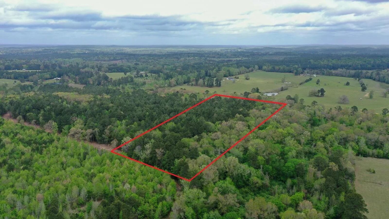 Property Photo:  0001 Cr 1628 Tract 1  TX 75563 