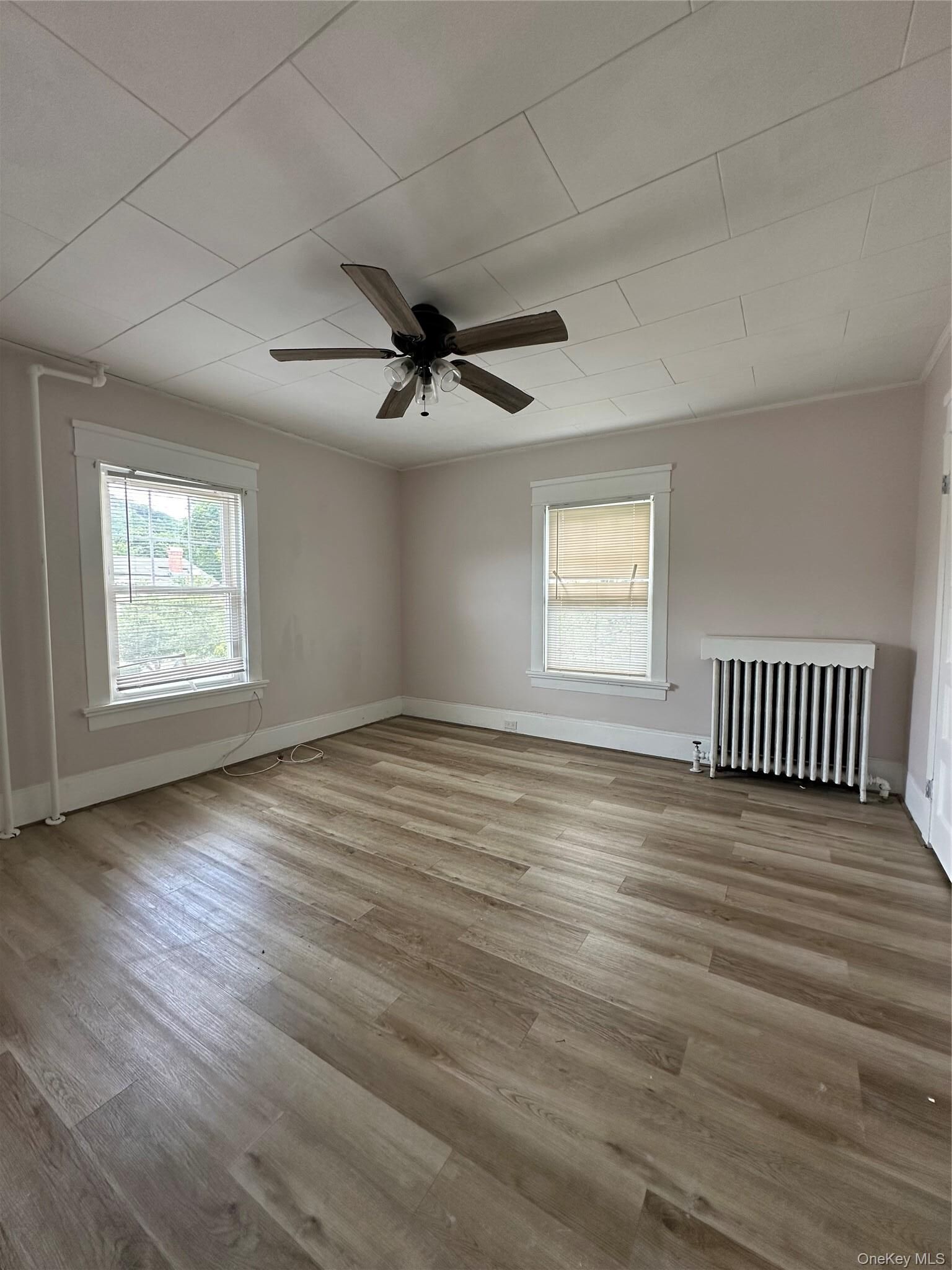 Property Photo:  9 Elizabeth Street 2  NY 12771 