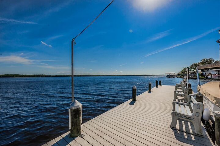Property Photo:  29 Concord Lane 11  FL 34684 
