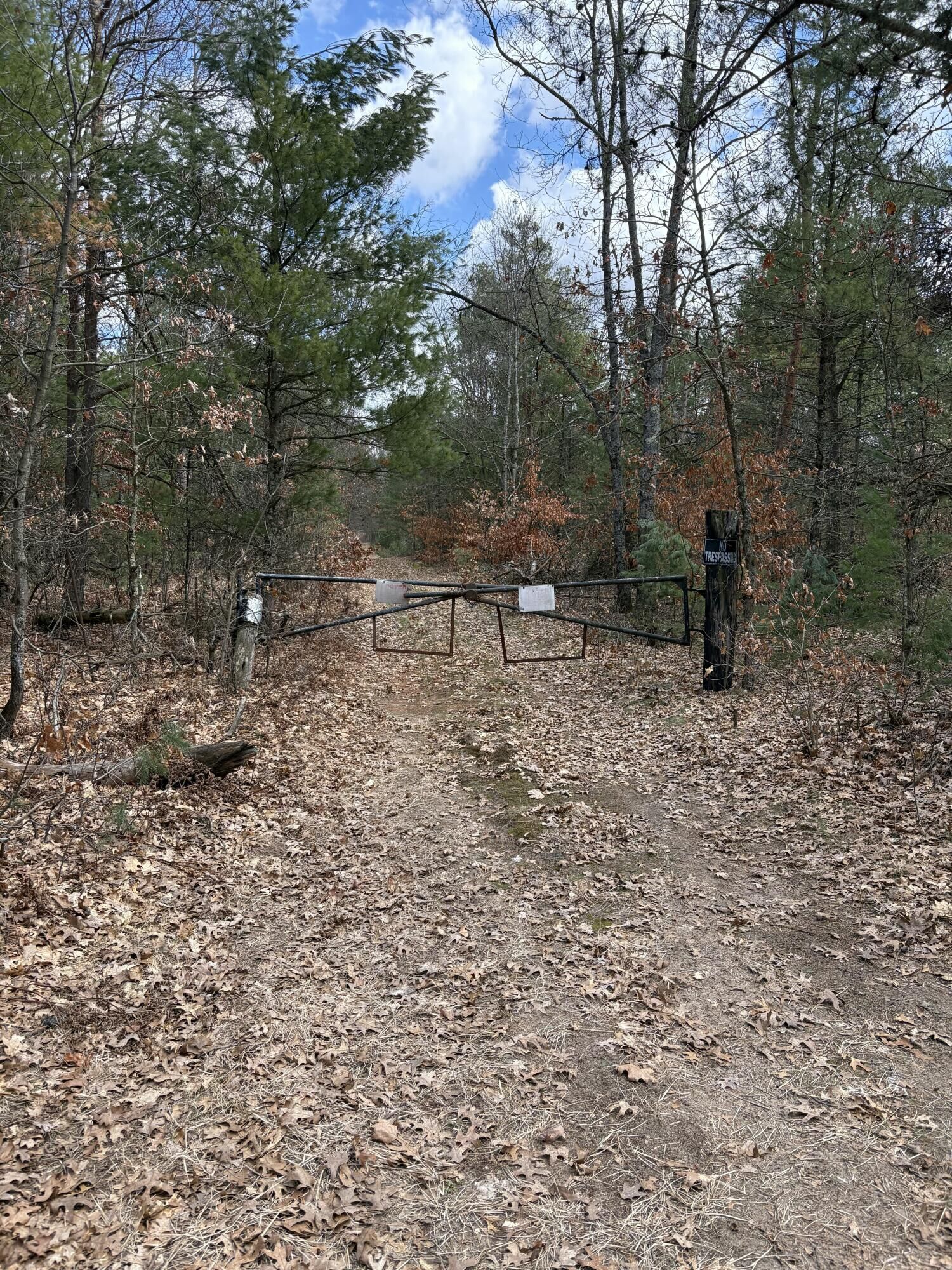 Property Photo:  0 Linderman Road  MI 49425 