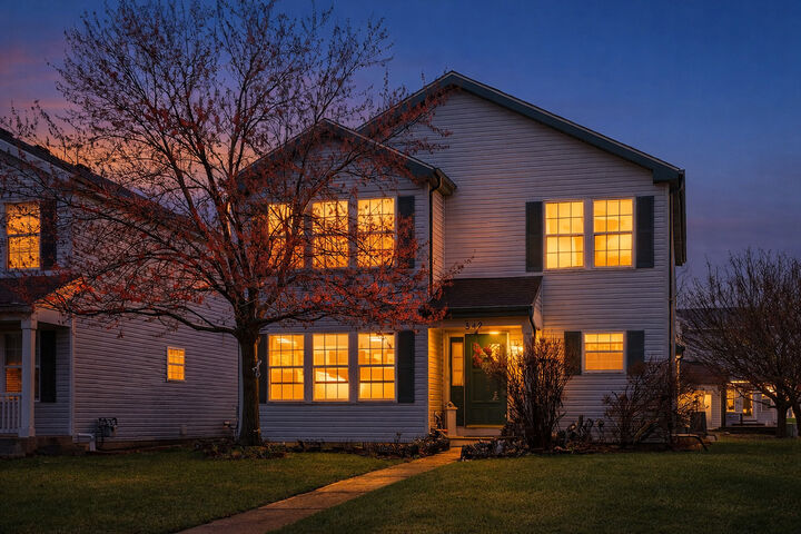 Property Photo: 342 Ogden Falls Boulevard IL 60543