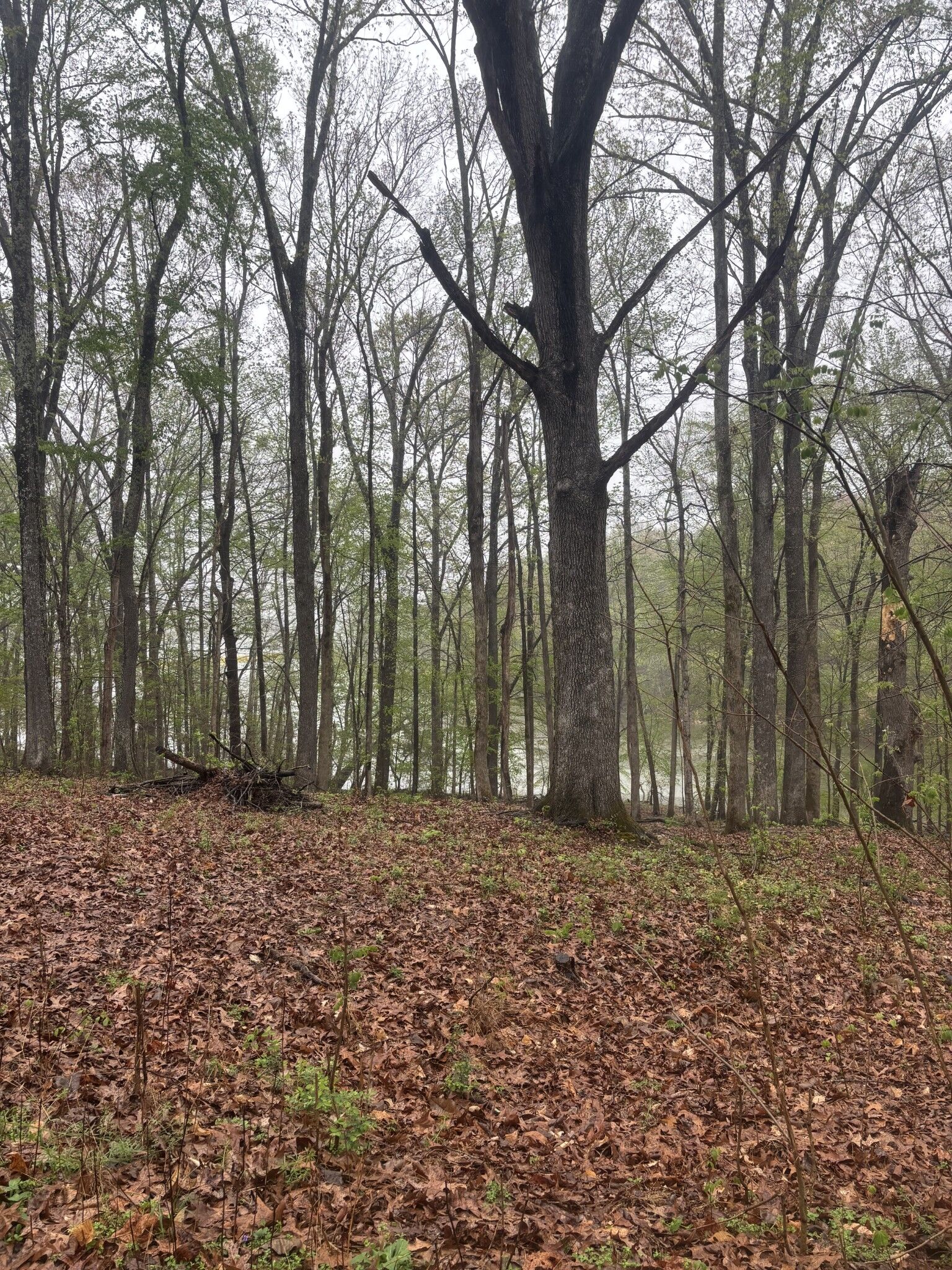 Property Photo: 0 Waters Edge Lane TN 37028