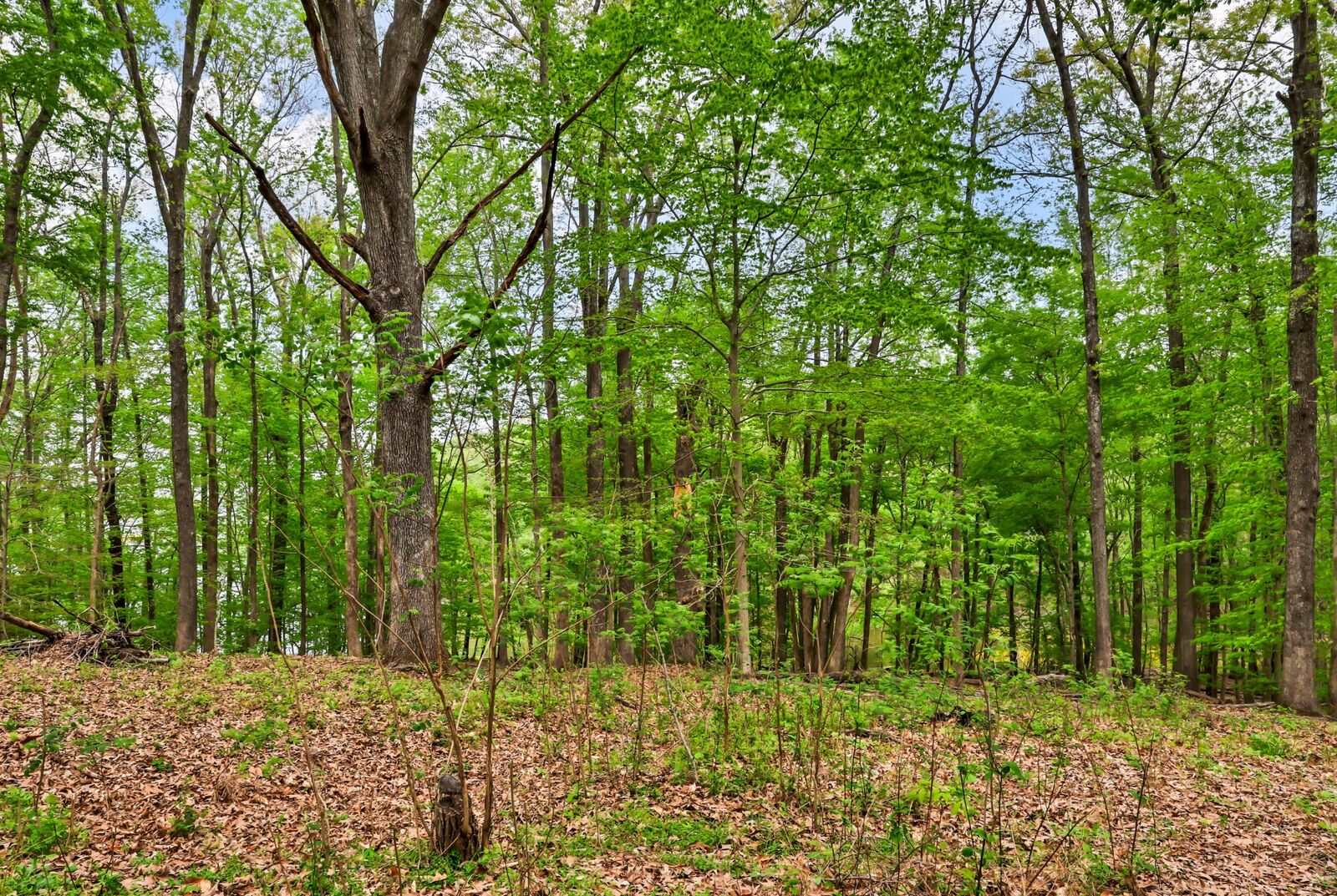 Property Photo:  0 Waters Edge Lane  TN 37028 