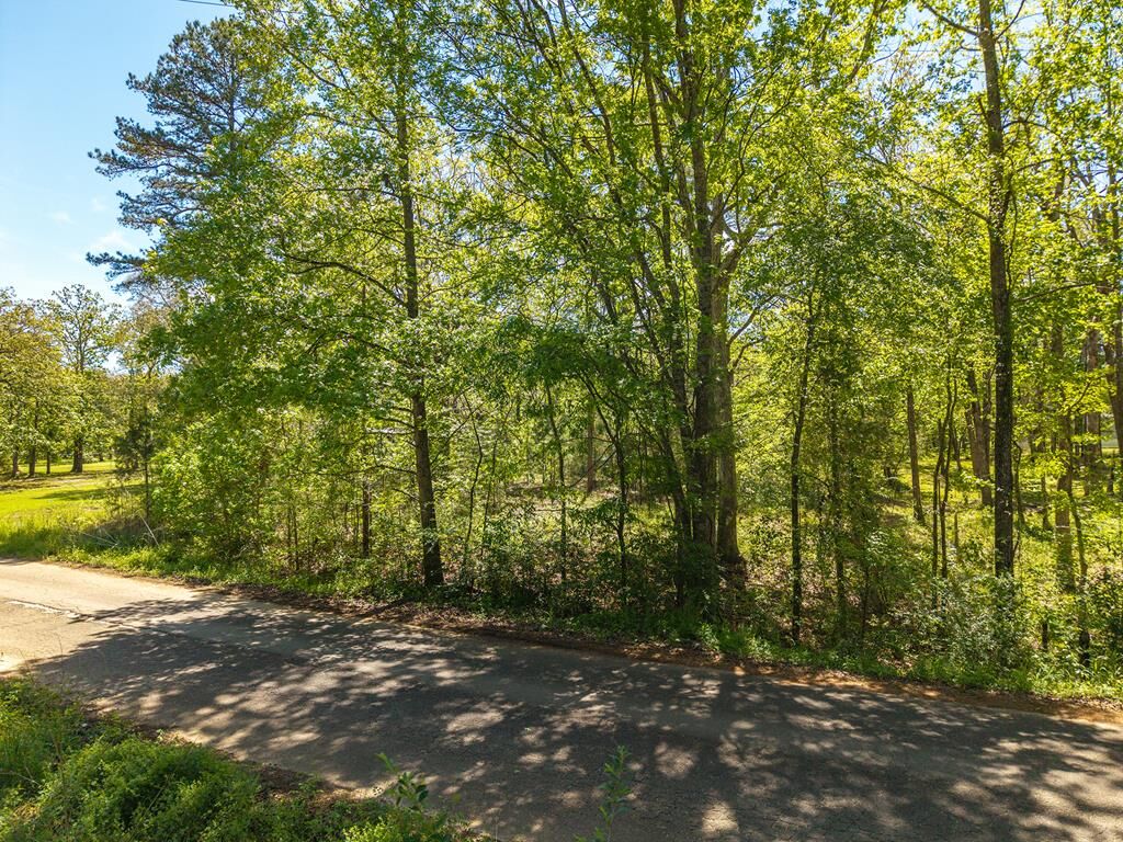 Property Photo:  442 County Road 514  TX 75961 