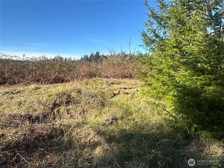 Property Photo: 0 Xxx Embody Road WA 98365
