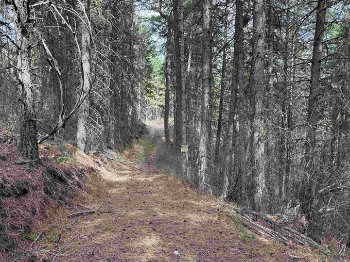 Property Photo: Nna Buck Creek Rd WA 99148