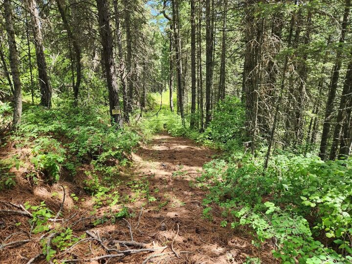 Property Photo: Nna Buck Creek Rd WA 99148