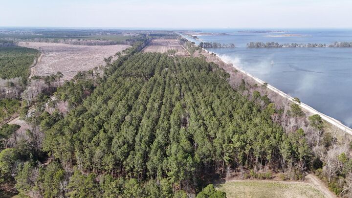 Property Photo: 0 Highway 6 SC 29469