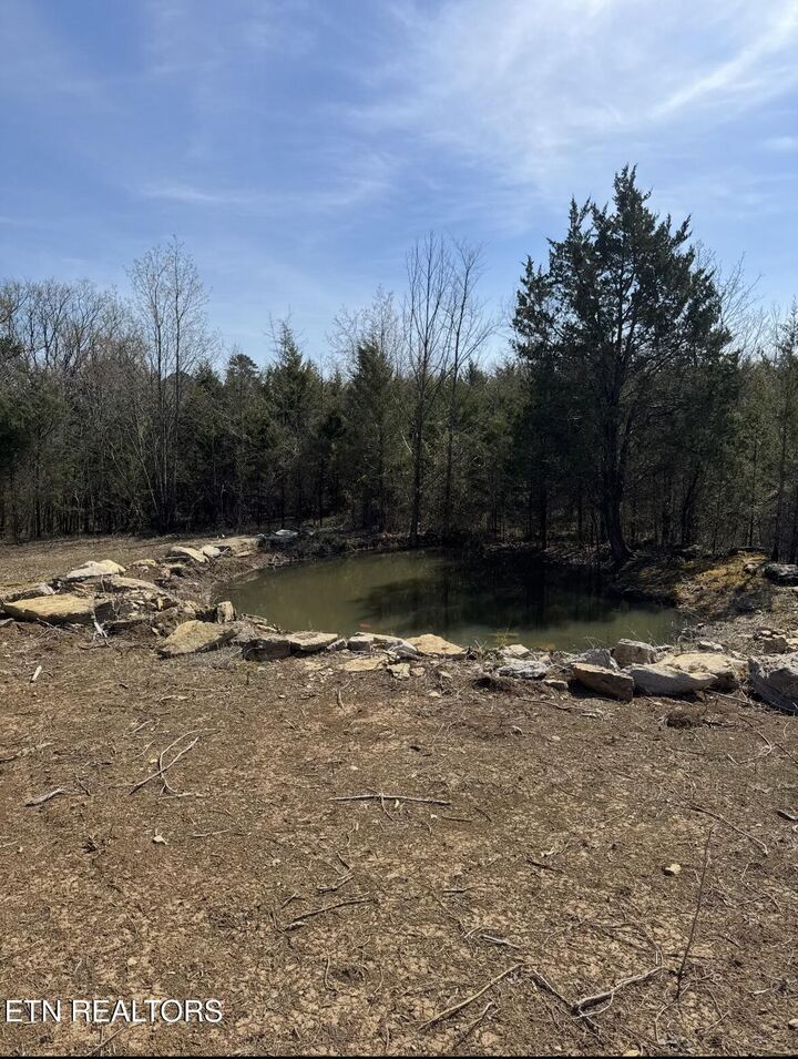 Property Photo:  000 Silver City Rd  TN 37891 