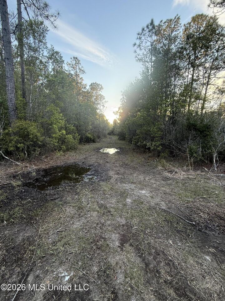Property Photo:  13816 Forts Lake Road  MS 39562 