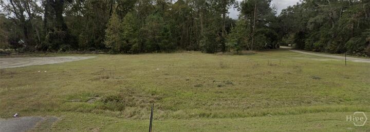 Property Photo:  1.56 Ac S Coastal Highway  GA 31320 