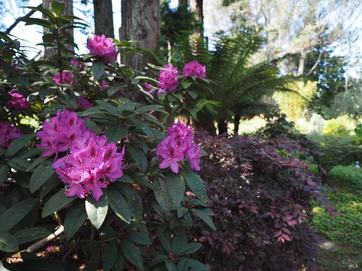 Property Photo:  626 Gold Ridge Road  CA 95472 