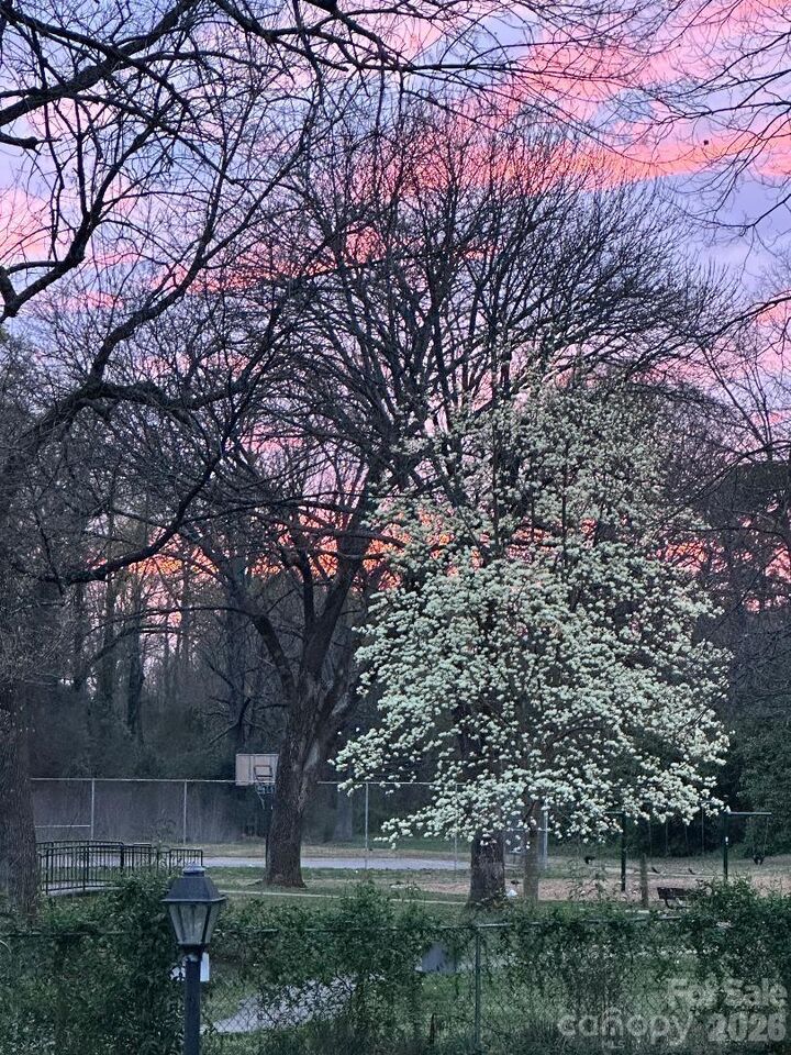 Property Photo:  3960 Bristol Drive  NC 28208 