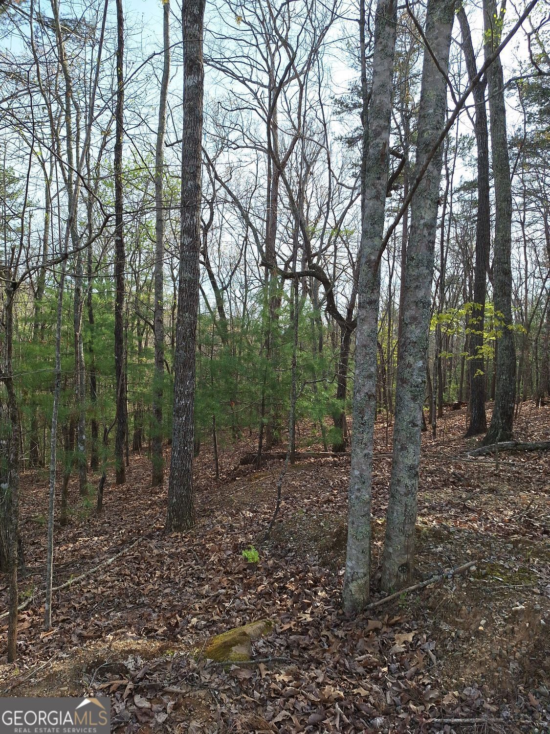 Property Photo:  0 Mull Lane Circle  GA 30560 