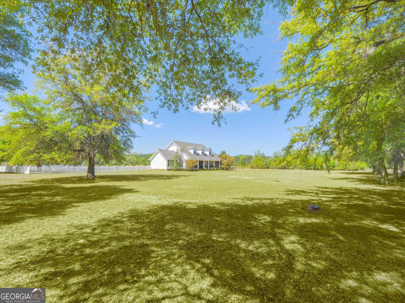 Property Photo: 202 Chesser Lane GA 31537