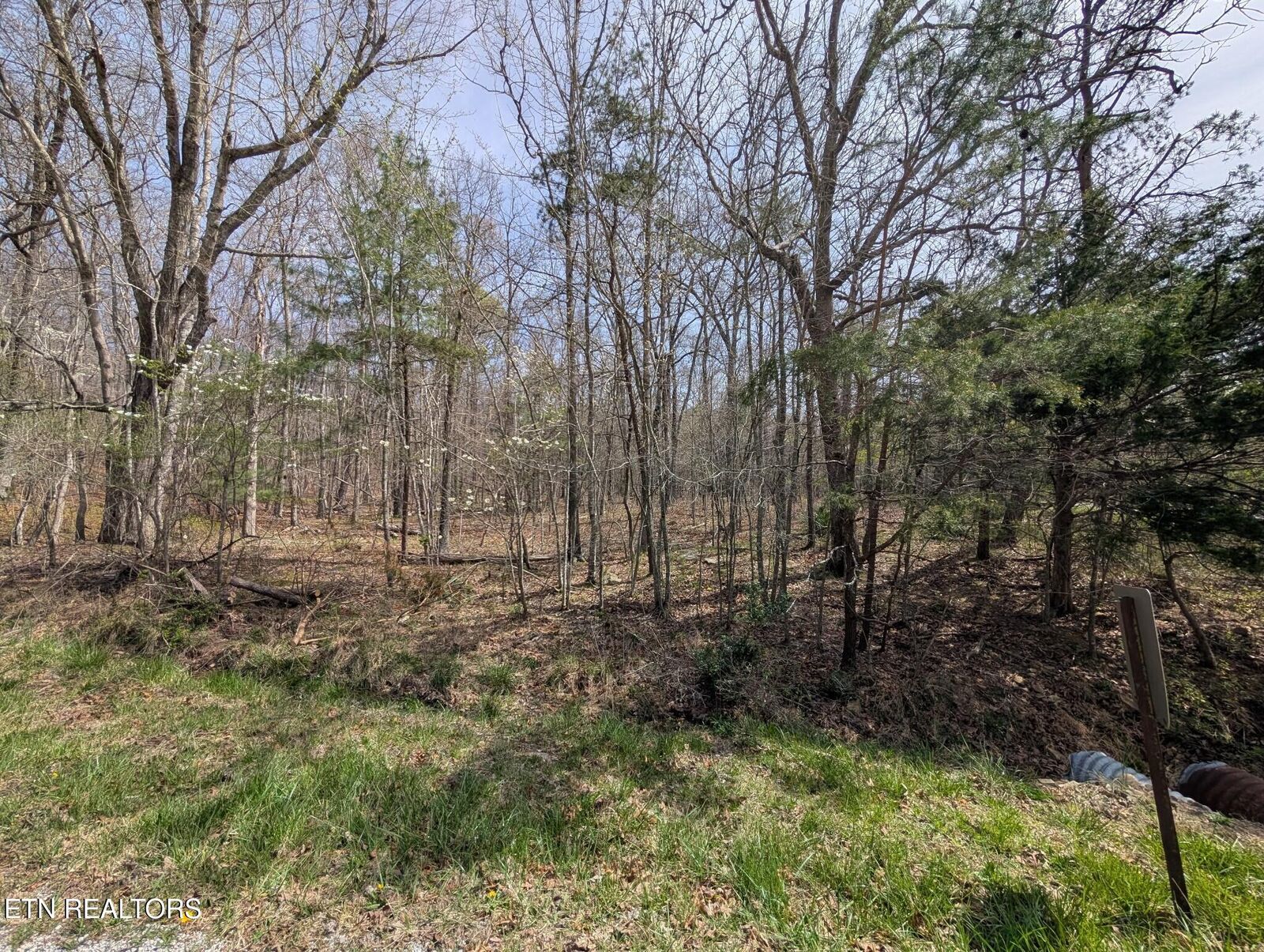 Property Photo:  146 Darwin Lane  TN 38558 