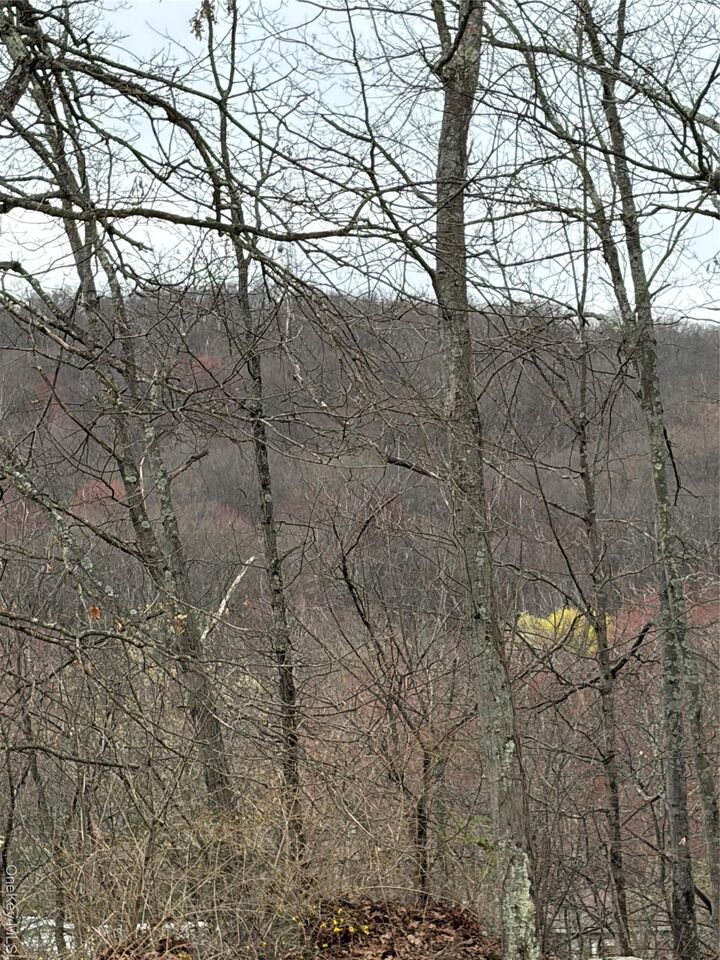 Property Photo:  Fox Mountain  NY 12758 