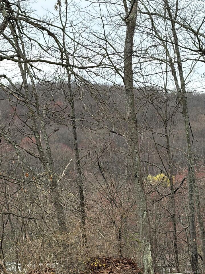 Property Photo:  Fox Mountain  NY 12758 