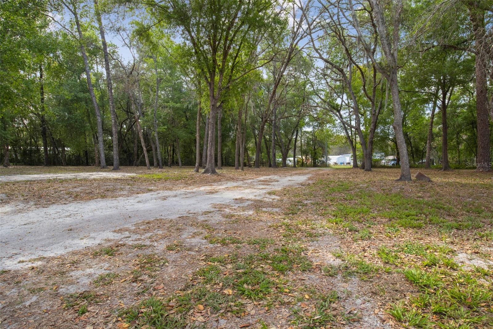 Property Photo:  4458 Foster Lane  FL 33541 