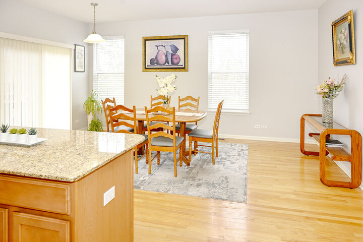 Property Photo:  219 Riverfront Drive  IL 60056 