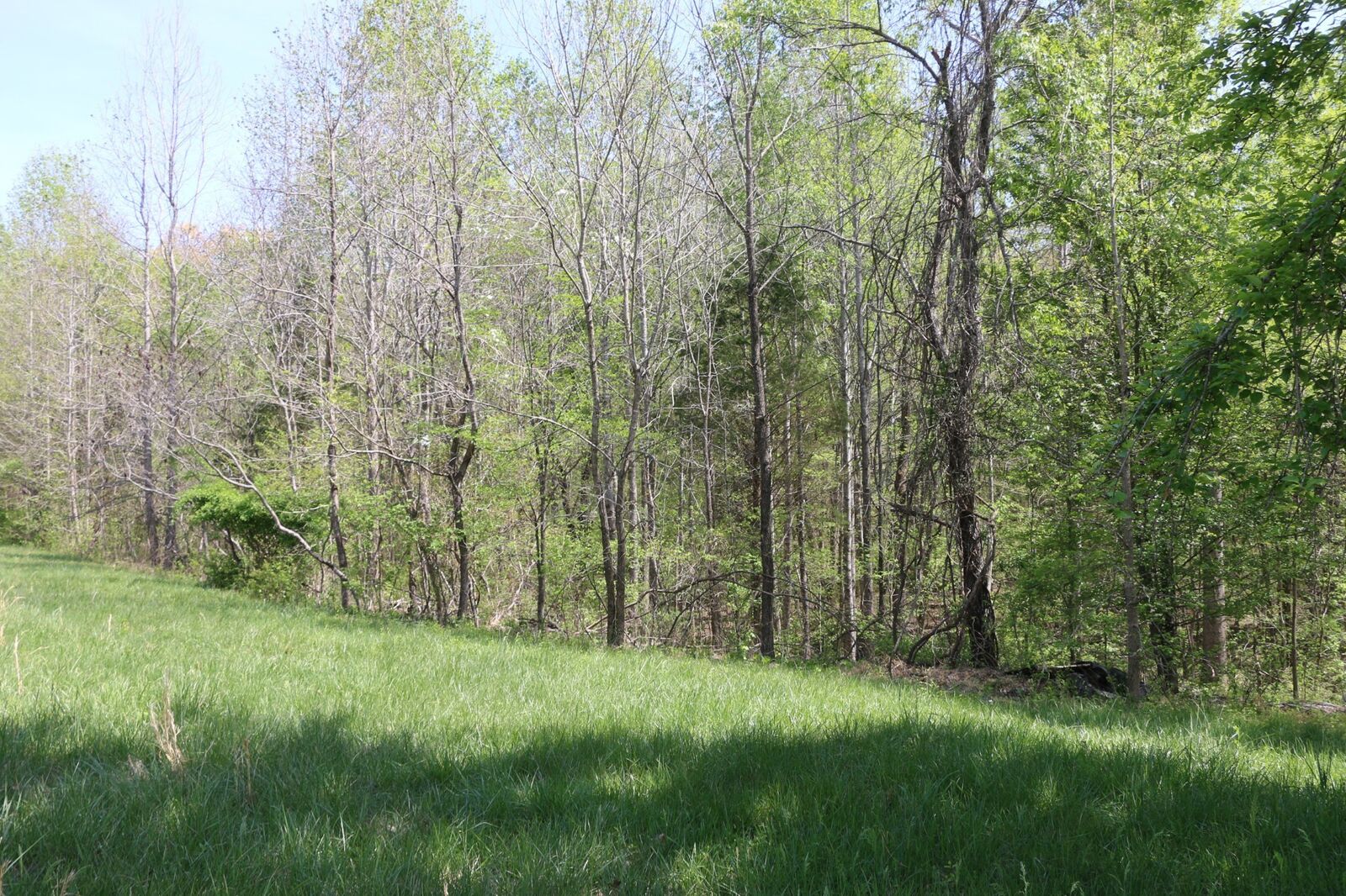 Property Photo: 820 New Rd TN 37040