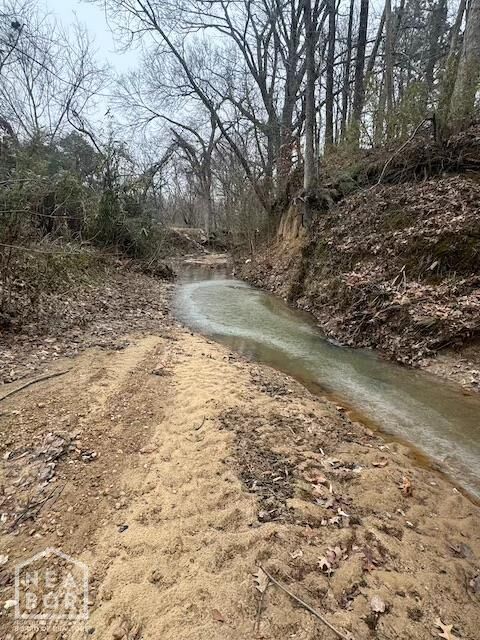 Property Photo:  160 Dye Street  AR 72324 