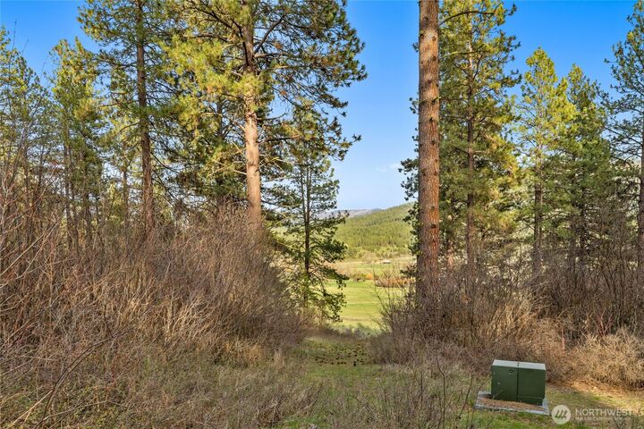 Property Photo: 250 Fir Tree Drive WA 98922