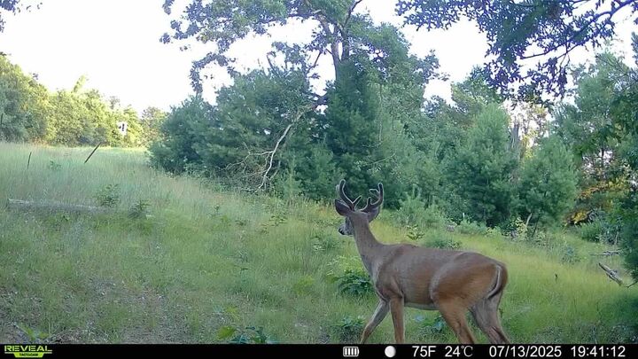 Property Photo:  28.07acres Driftwood Avenue  WI 54666 