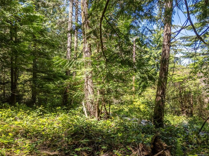 Property Photo: 638 Tumbo Channel Rd BC V0N 2Y0