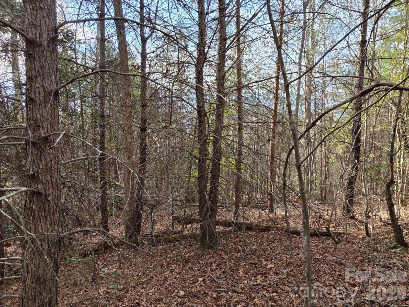 Property Photo:  Lot 10 Kerlee Lane  NC 28762 