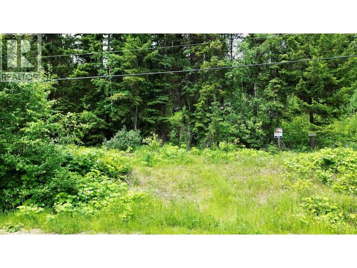 Property Photo:  Lot A Canim-Hendrix Lake Road  BC V0K 1J0 