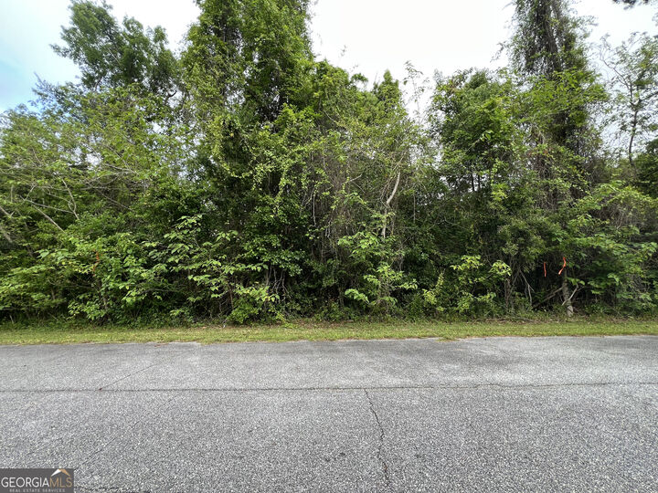 Property Photo:  204 W Meeting St.  GA 31558 