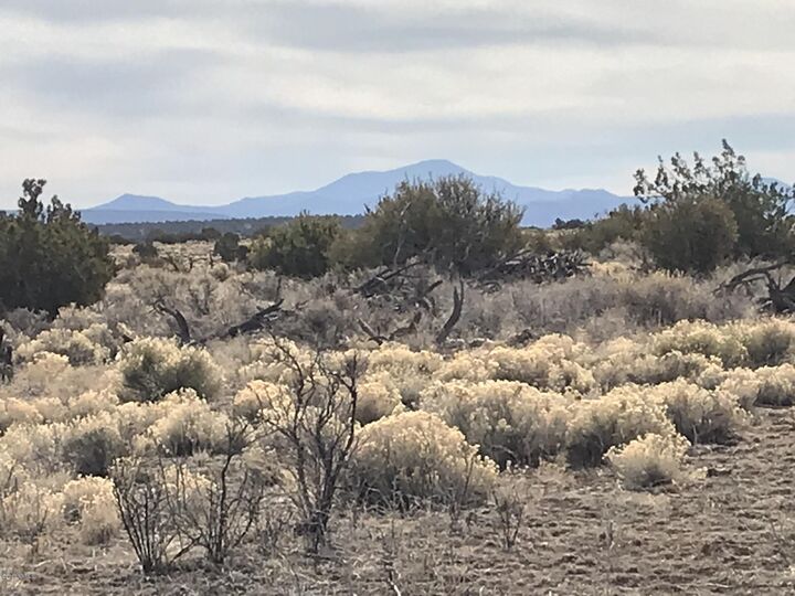 Property Photo:  5597 S Cattle Tank Road  AZ 86046 