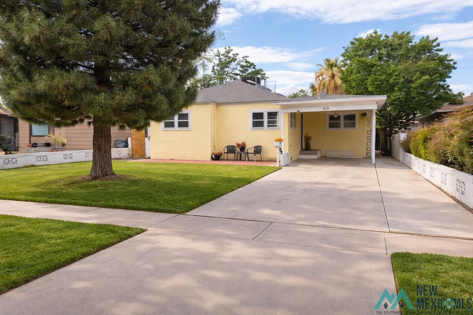 Property Photo:  613 N Mesquite Street  NM 88220 