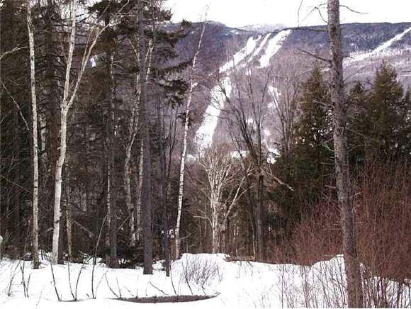 Property Photo:  Lot 7 Southglen  VT 05674 