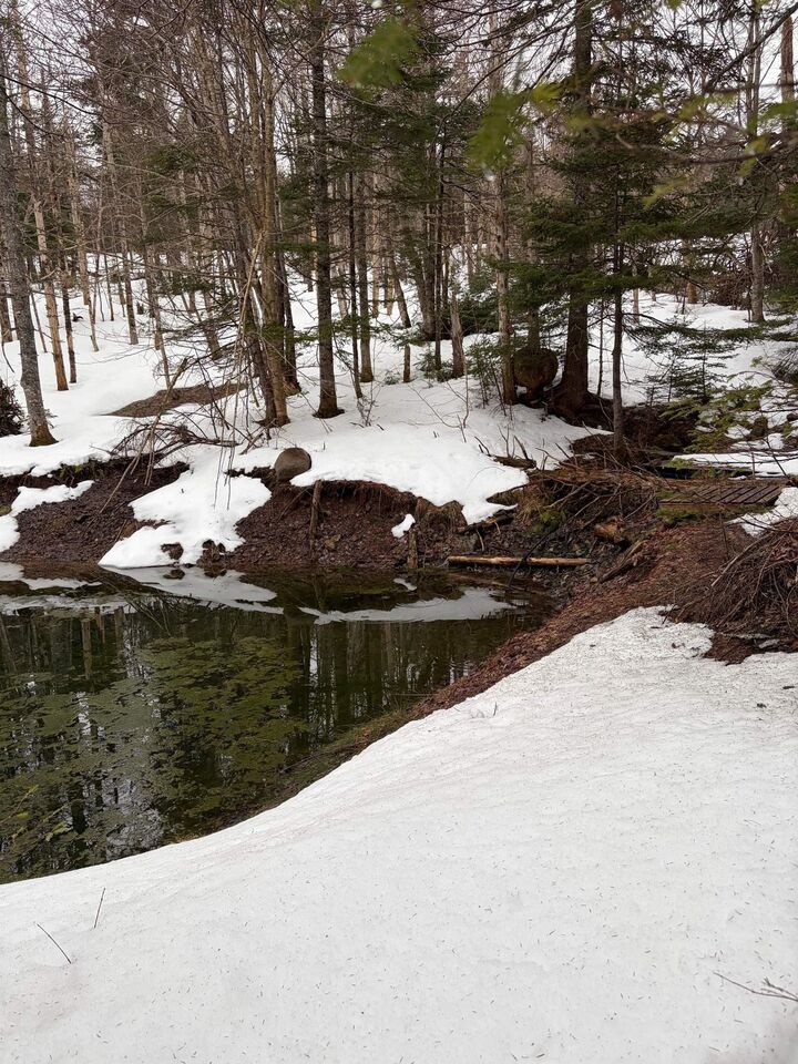 Property Photo:  594 Whycocomagh Mountain Rd  NS B0E 3M0 