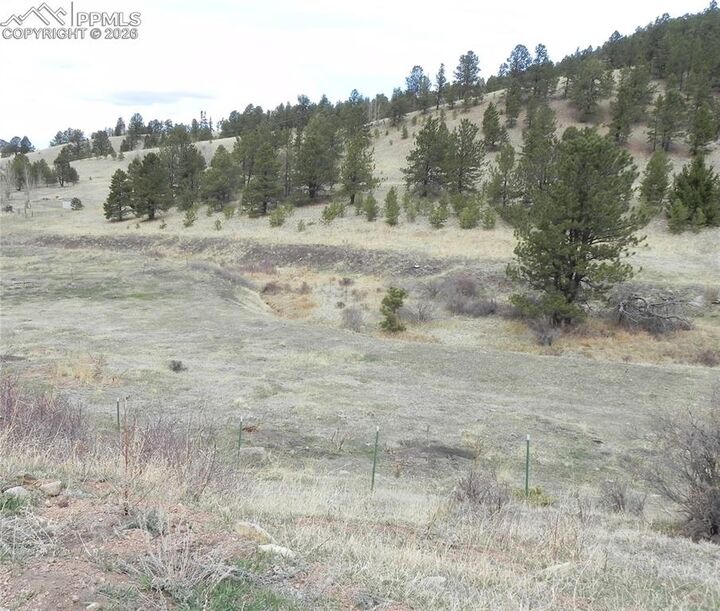 Property Photo:  521 Monarch Drive  CO 80813 