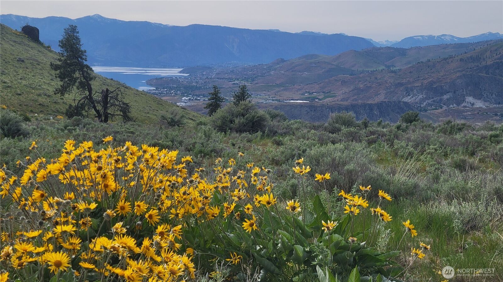 Property Photo:  0  Coyote'S Curve Road  WA 98843 