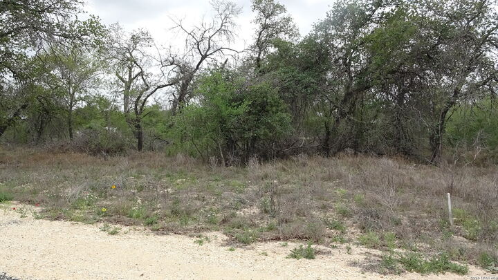 Property Photo: 22823 Cherry Rock TX 78112