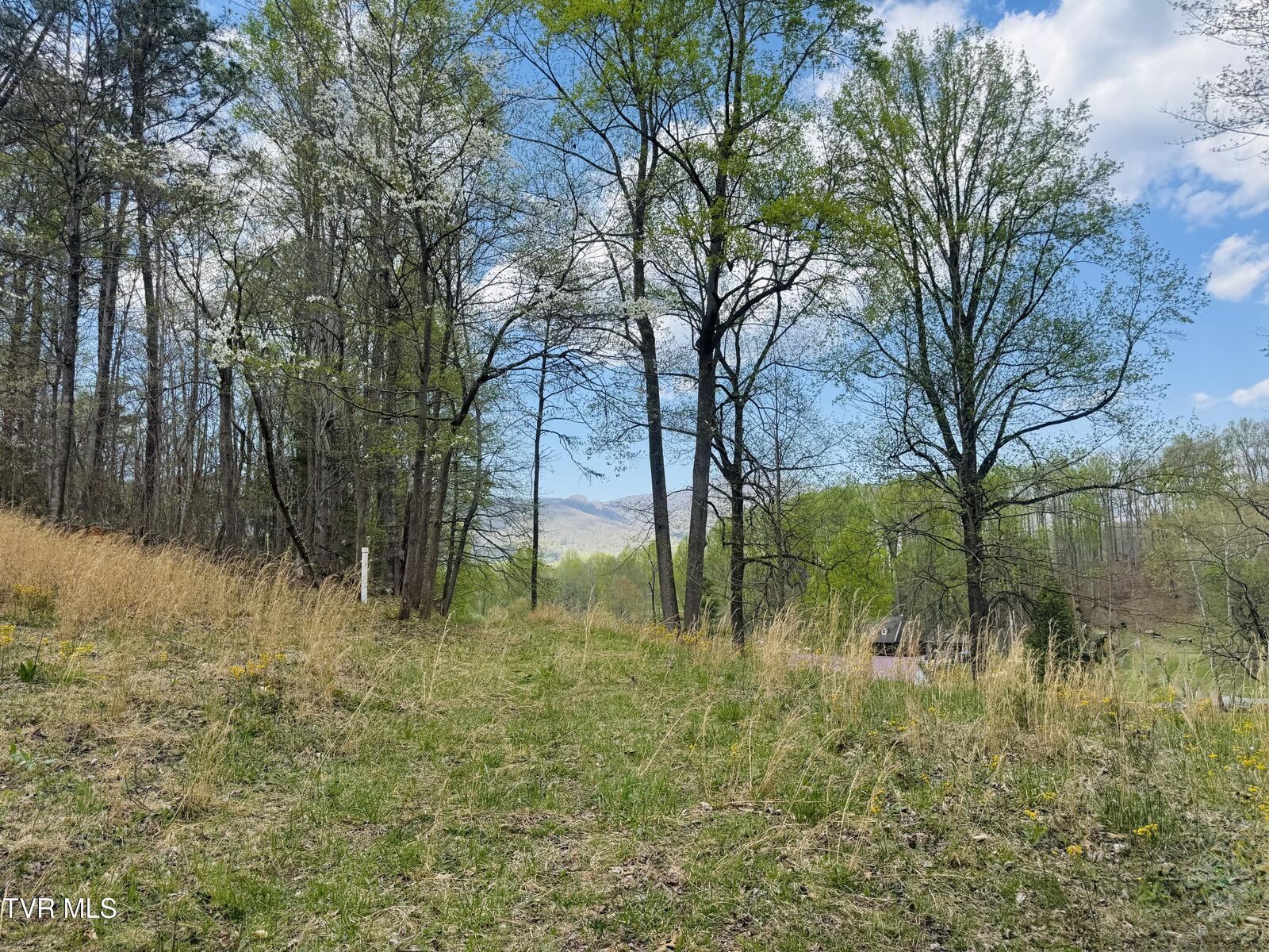 Property Photo: 160 Bob S Hollow Road TN 37643