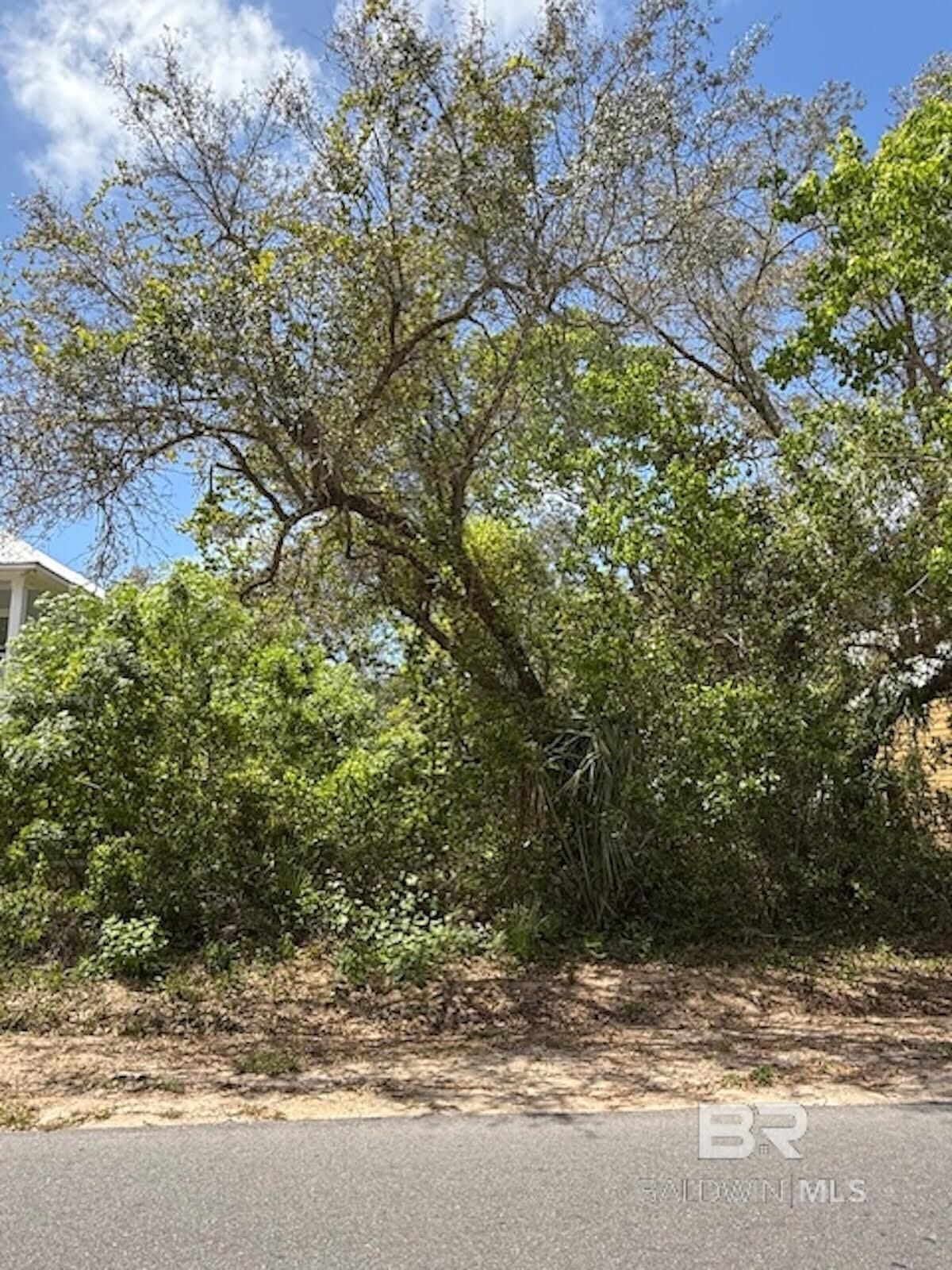 Property Photo:  0 Gulf Avenue  AL 36561 